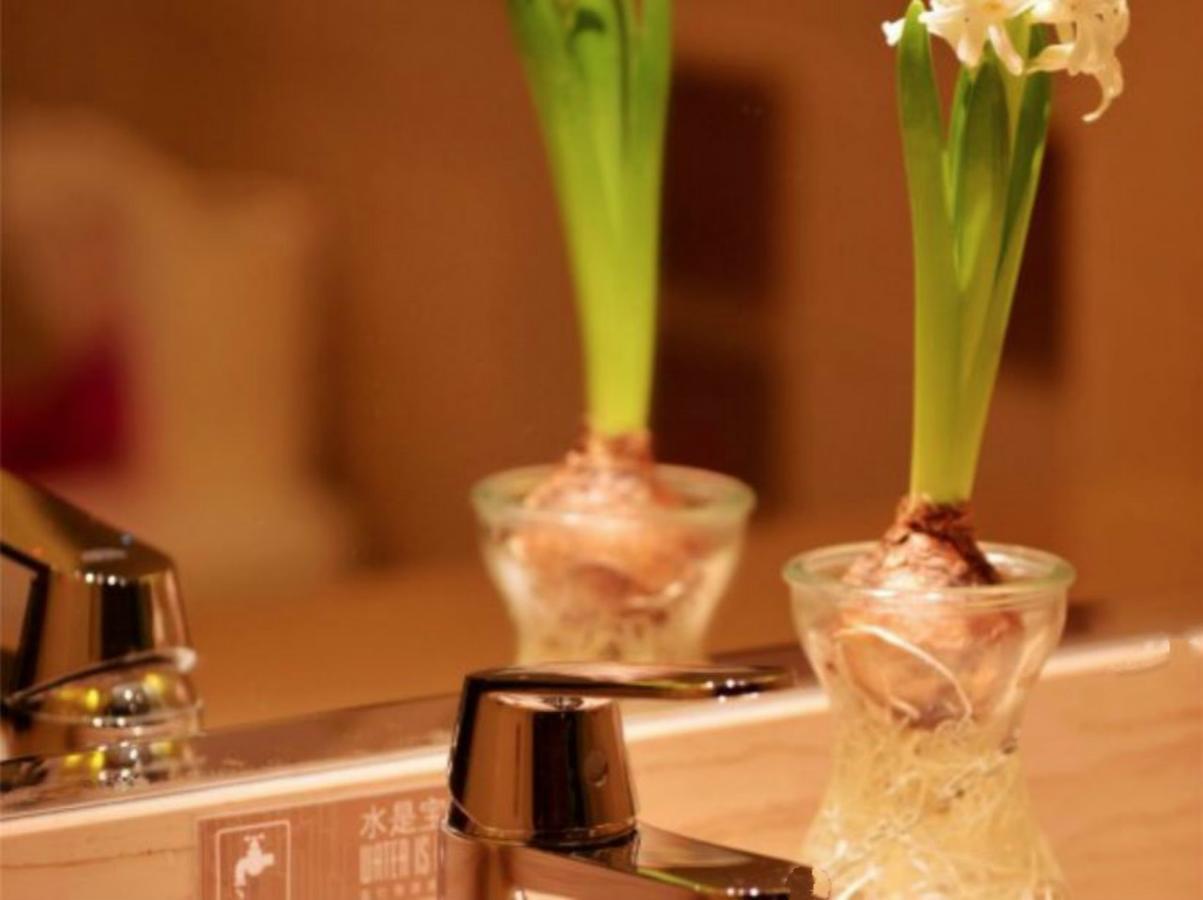 Greentree Inn Beijing Dongcheng District Wangfujin South Luogu Lane Houhai Express Hotel Eksteriør billede
